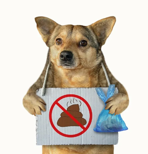 Фекалии за критику))