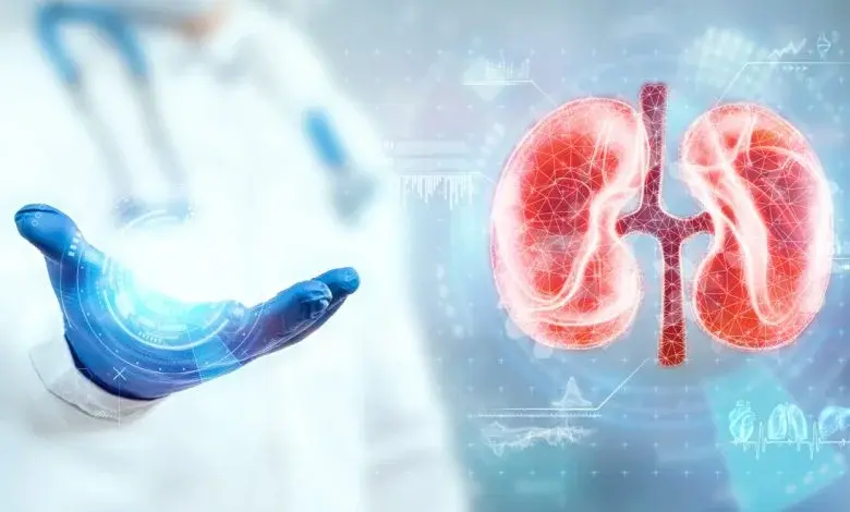 Камни в почках: как предотвратить камни в почках