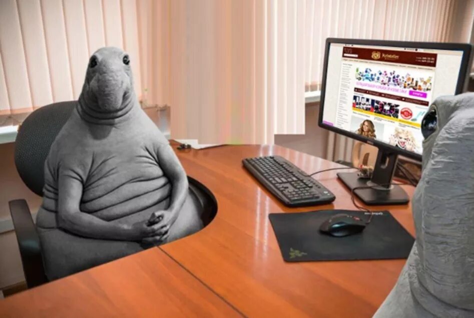 "Люди-ждуны": почему успехи одного человека раздражают других? Как взять желанный приз и перестать критиковать тех, кто лучше Вас?