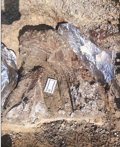 Астероид, уничтоживший динозавров 66 миллионов лет назад, обрушился на Землю весной, подтверждает анализ окаменелостей