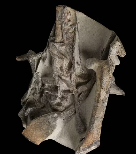 Вот это большая птица!