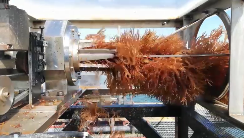 Индийский стартап может произвести революцию в морском земледелии с помощью своего «морского комбайна»