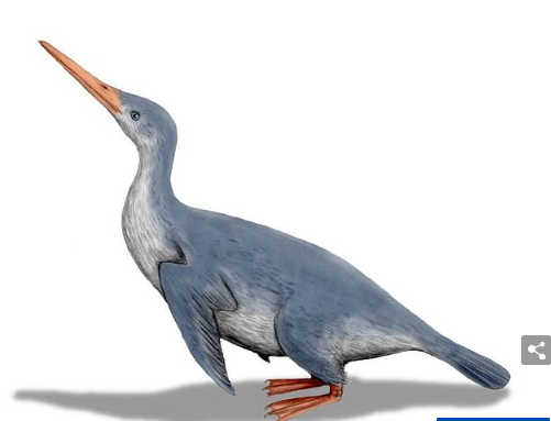 Вот это большая птица!