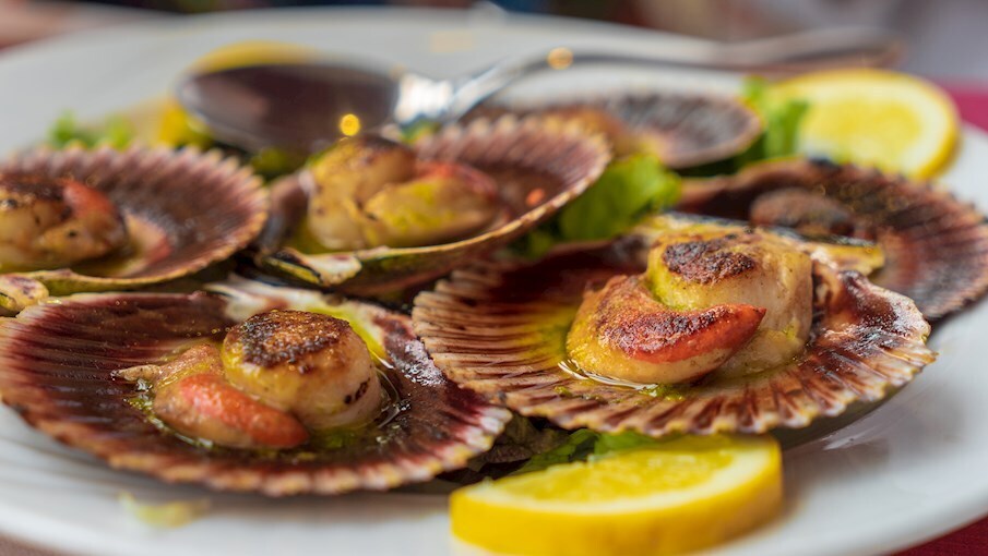 Морские гребешки в раковине