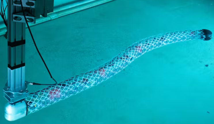 Змеевидный робот