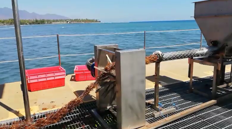 Индийский стартап может произвести революцию в морском земледелии с помощью своего «морского комбайна»