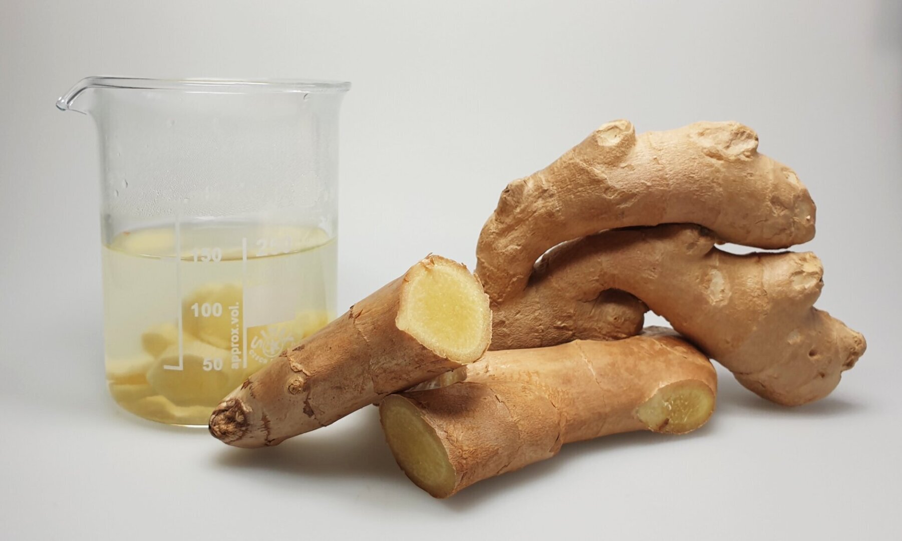 Острый состав имбиря приводит иммунные клетки в состояние повышенной готовности