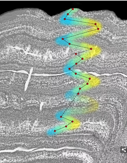 Астероид, уничтоживший динозавров 66 миллионов лет назад, обрушился на Землю весной, подтверждает анализ окаменелостей