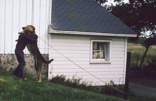 Это Именно То, Что На Самом Деле Означает Поведение Вашей Собаки