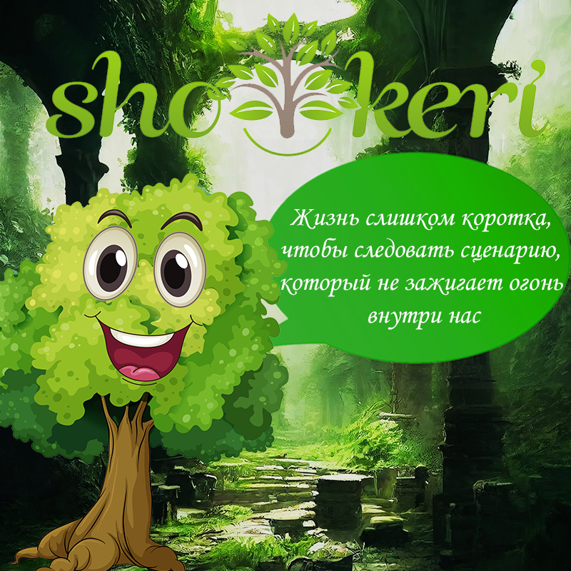 Список категорий при составлении личного бюджета