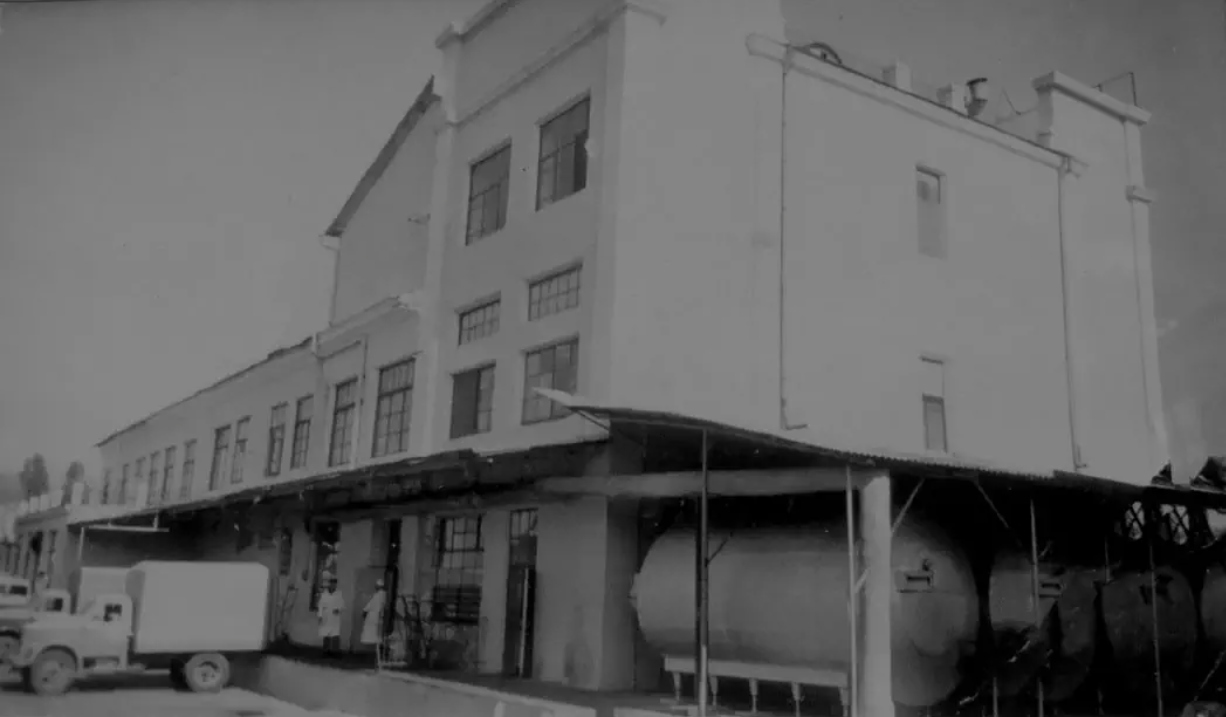 Как Сочи превратился из зелёного города, обеспечивающего себя уникальными продуктами, в агломерацию, живущую на привозных товарах