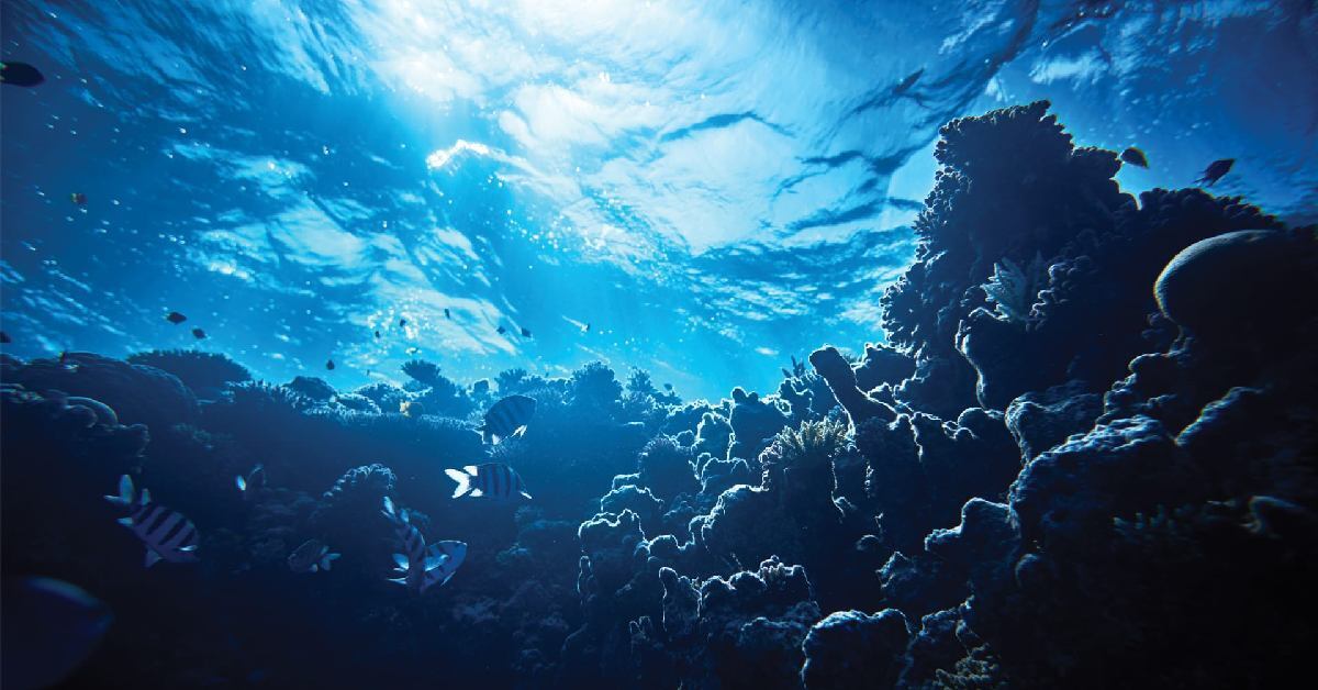 Происхождение океанских вод