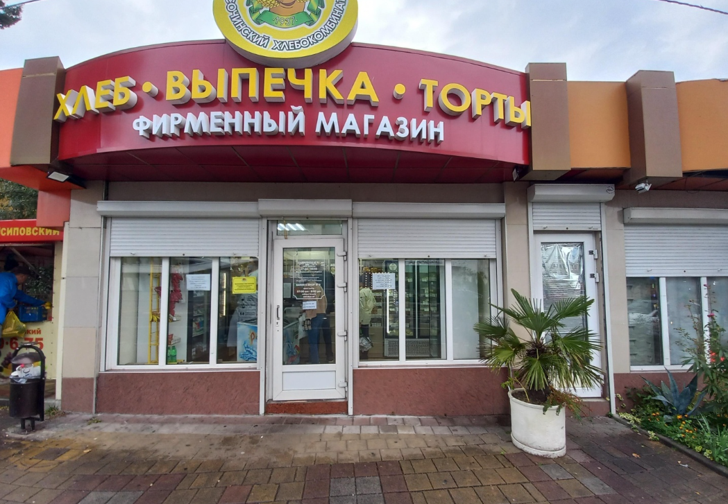 Как Сочи превратился из зелёного города, обеспечивающего себя уникальными продуктами, в агломерацию, живущую на привозных товарах