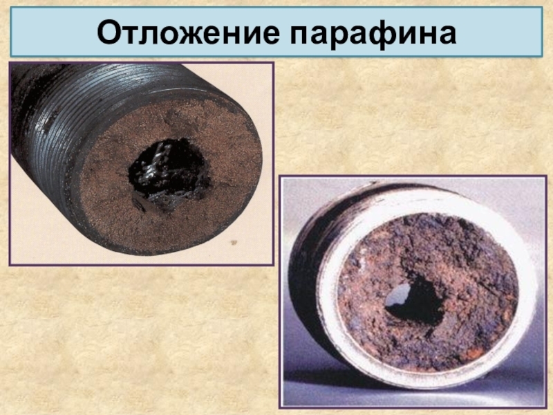 Парафинизация как агробиоземное сообщество | Юмор | Ksuha, 16 февраля 2023