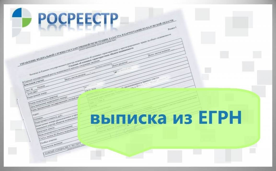 Кадастровая карта заказать выписку из егрн