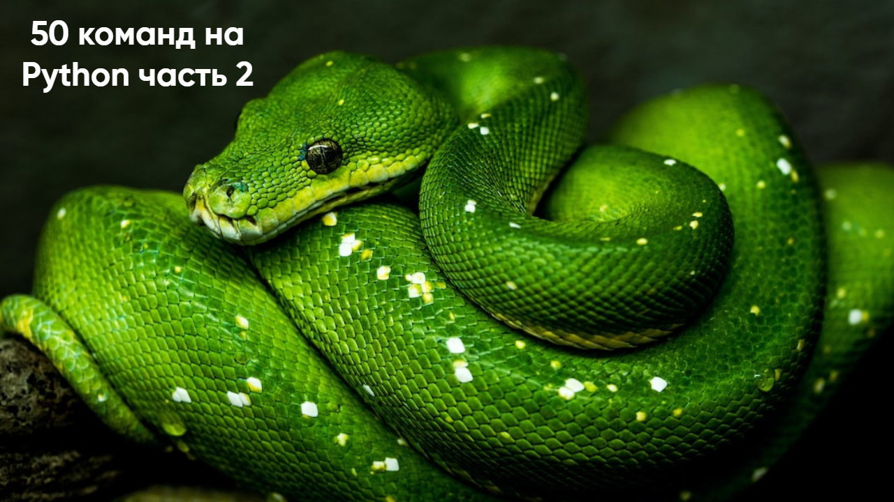 50 команд на Python часть 2. Оценка кода, Утверждение значений, Функции отображения, Виртуальное окружение, Циклы