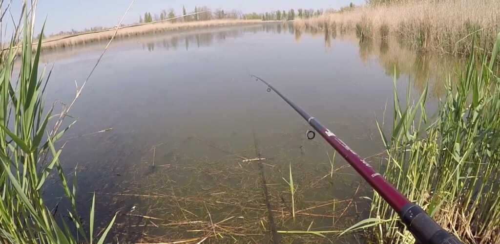 "Но всё так же ночью снится мне деревня". Мой любимый хуторок. Лучшего и быть не может. Где лучше было жить при СССР: в городе или в деревне?