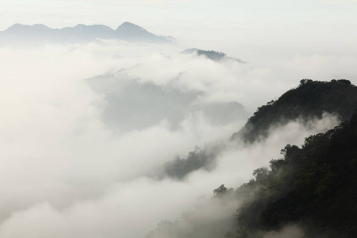 Долина черного бамбука - паранормальные и загадочные исчезновения людей.