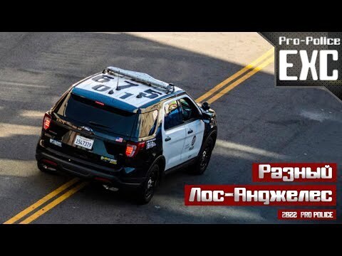 Полиция Лос-Анджелеса | Новости