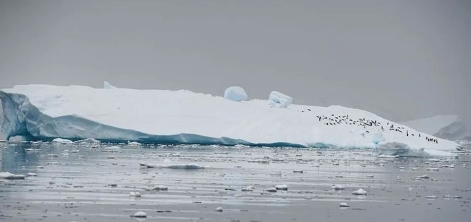Антарктидa тает: ее температура впервые превышает 20 градусов.
