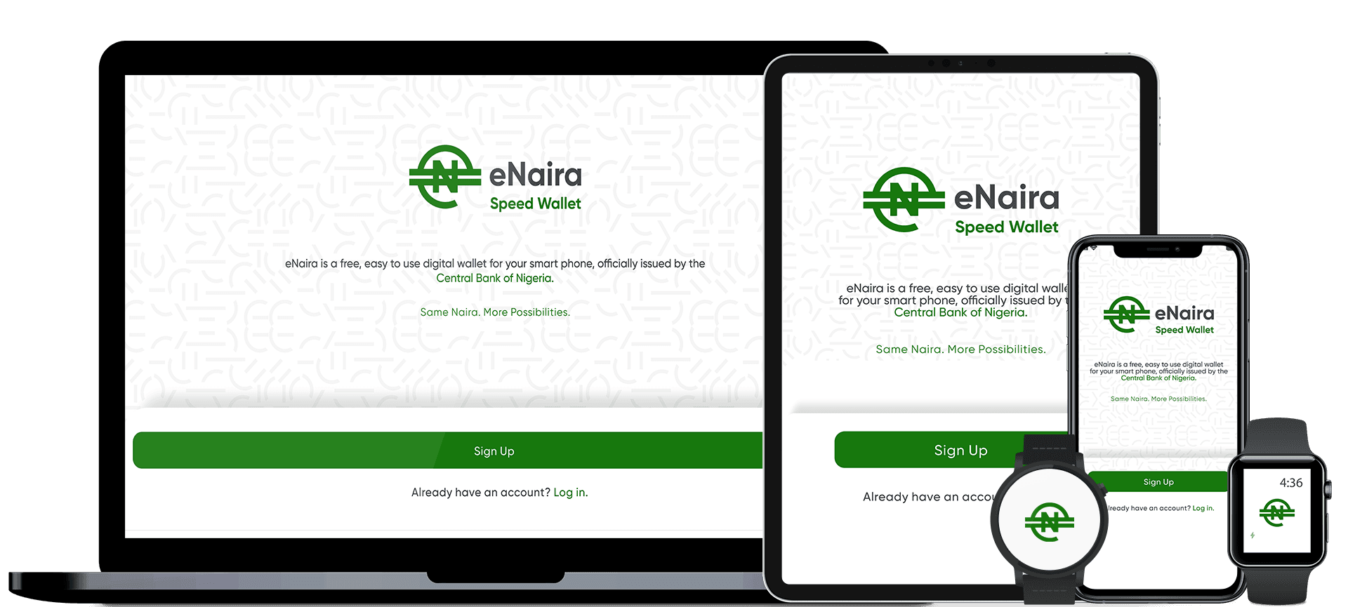 Испытательной площадкой по внедрению CBDC была назначена Нигерия