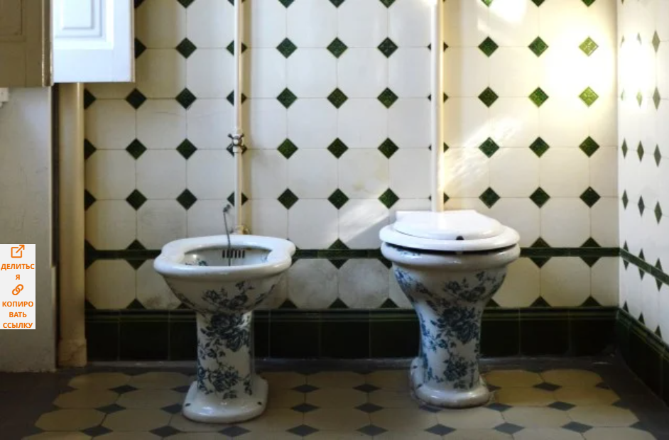 Почему французы разлюбили биде?