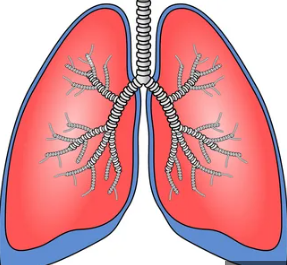 Зима подвергает наши легкие испытанию, 5 шагов, чтобы защитить их