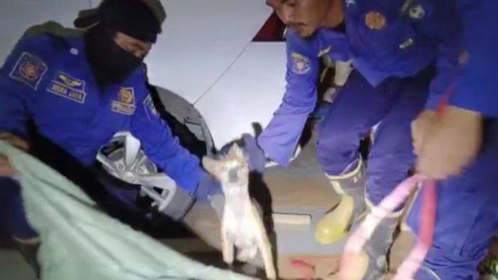 Тим Спасатель Дамкар Гова Эвакуатор Анджинг Лжец Ресахкан Варга Пансиро Гова