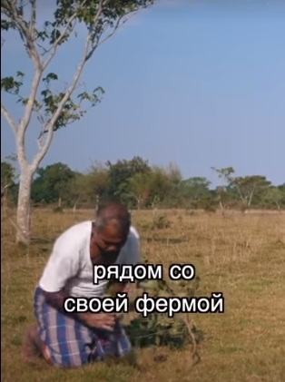 Человек посадивший лес за 40 лет
