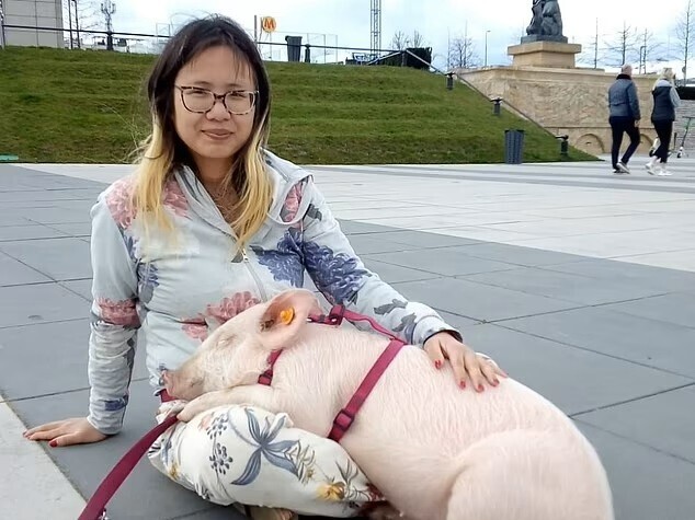 Американца, который гулял с коровой по Красной площади, депортировали на 40 лет