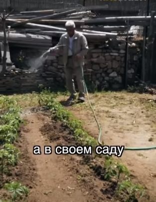 Современный король