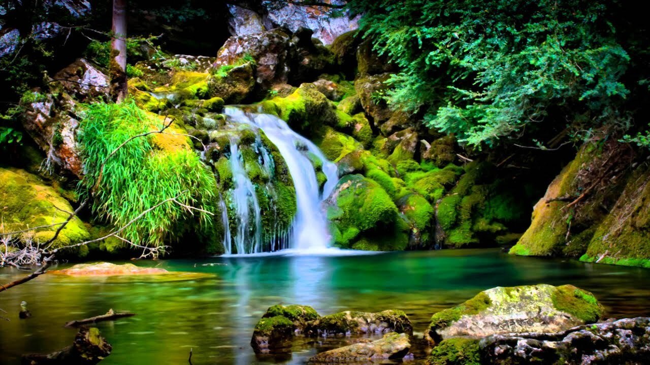 Весна уже рядом.