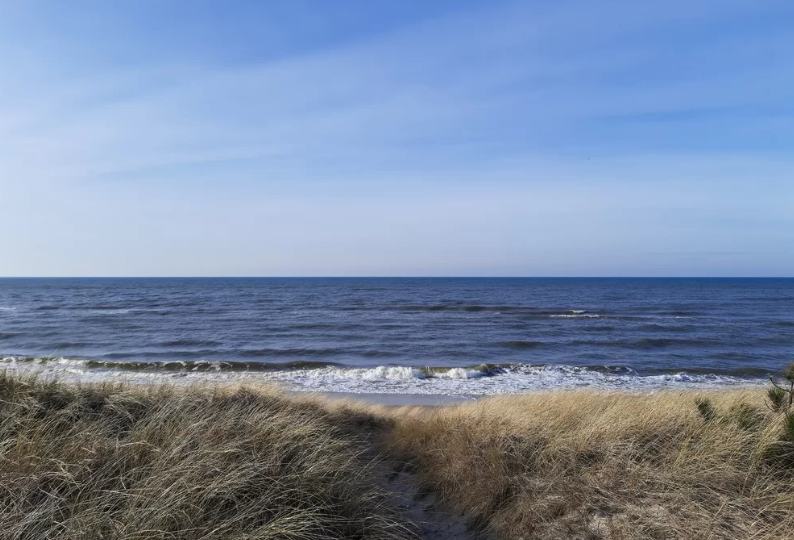 Почему мы должны проводить свободное время на свежем воздухе ?