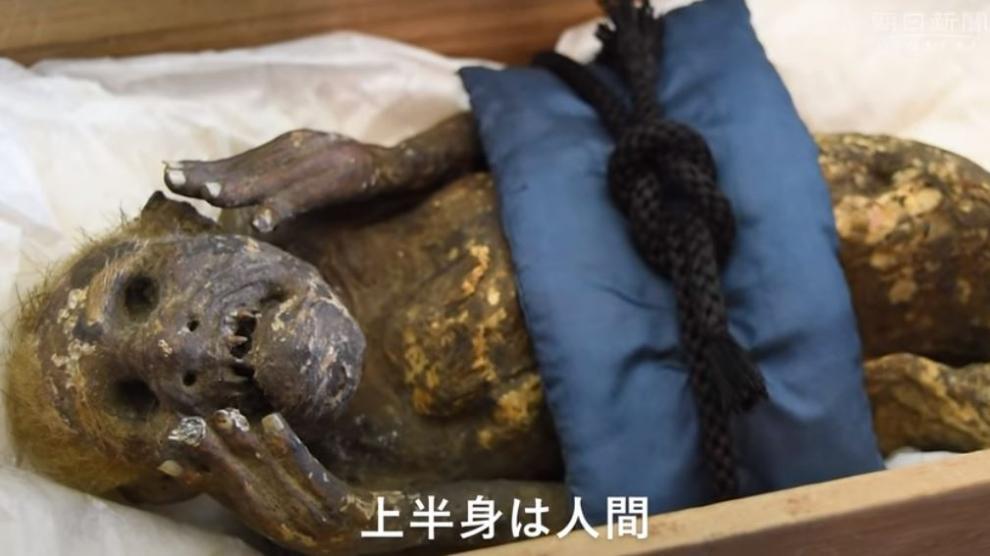Тайна японской мумии русалки раскрыта 300 лет спустя
