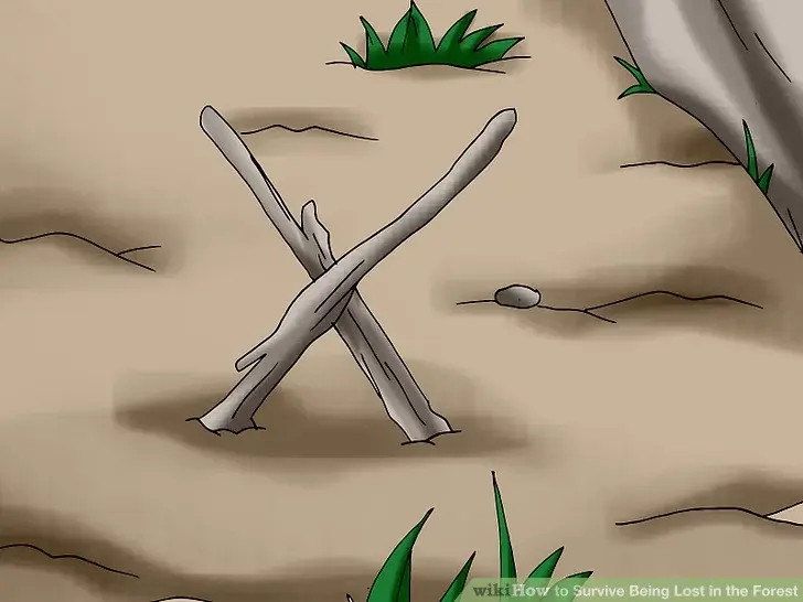 Как выжить, потерявшись в лесу?