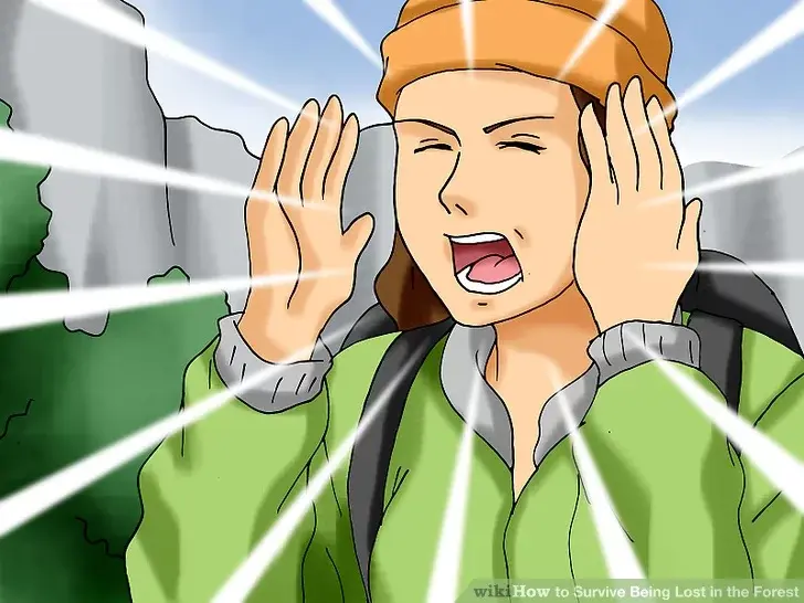 Как выжить, потерявшись в лесу?