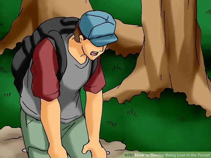 Как выжить, потерявшись в лесу?