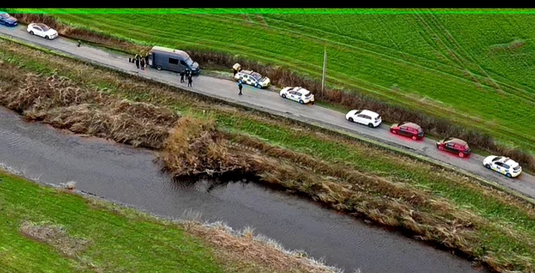 В поисках пропавшей Николы Булли
