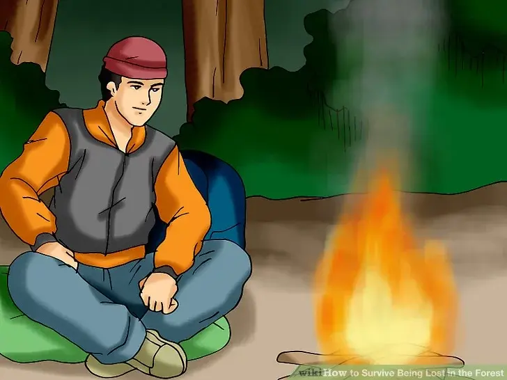 Как выжить, потерявшись в лесу?