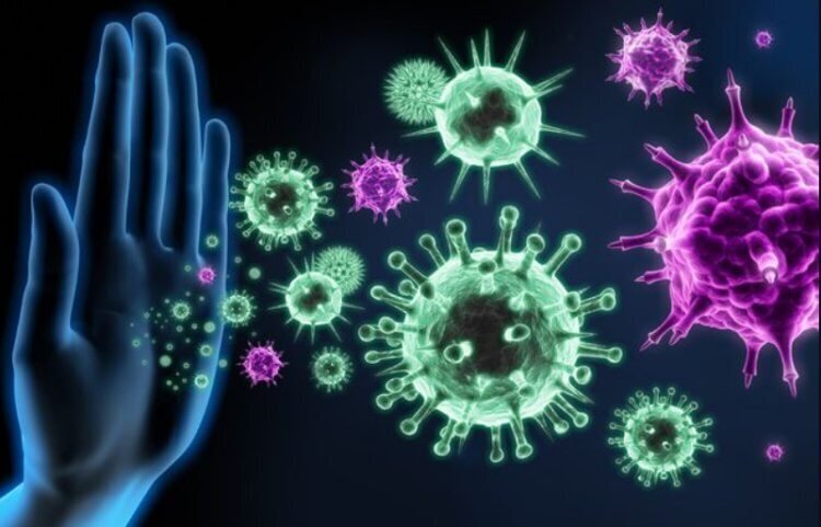 Шесть важнейших витаминов для иммунитета. Получаем из пищи.