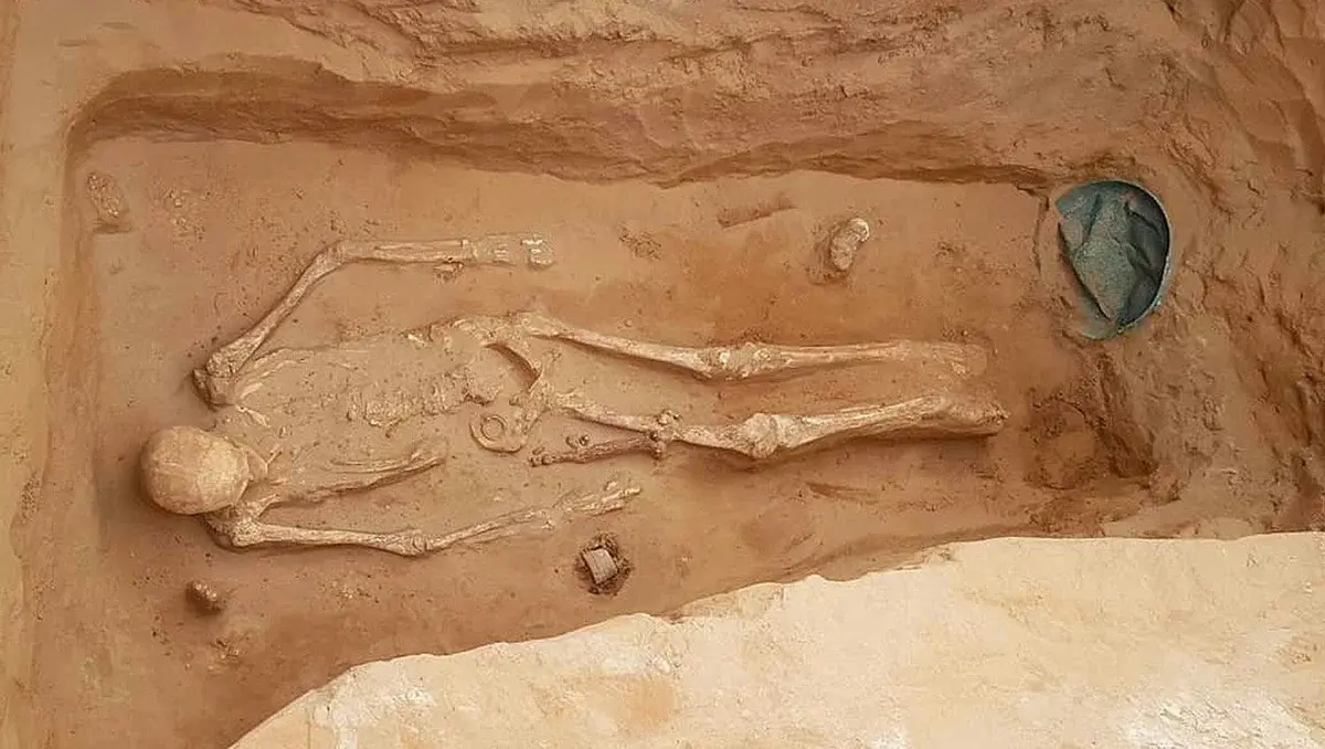 Что нашли в гробнице Друида из Колчестера?