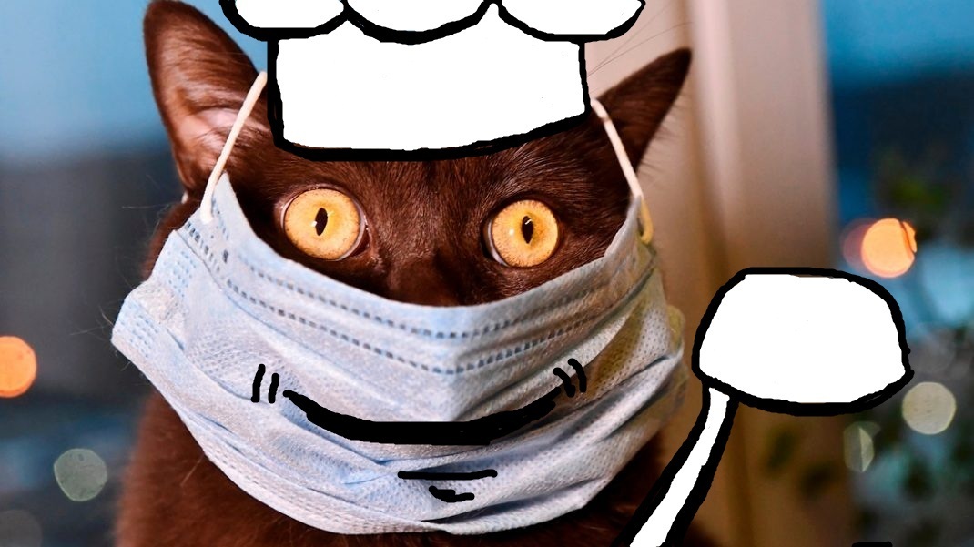 Стекло и пыль, или как Гарпия и хвостатый выходной проводят.