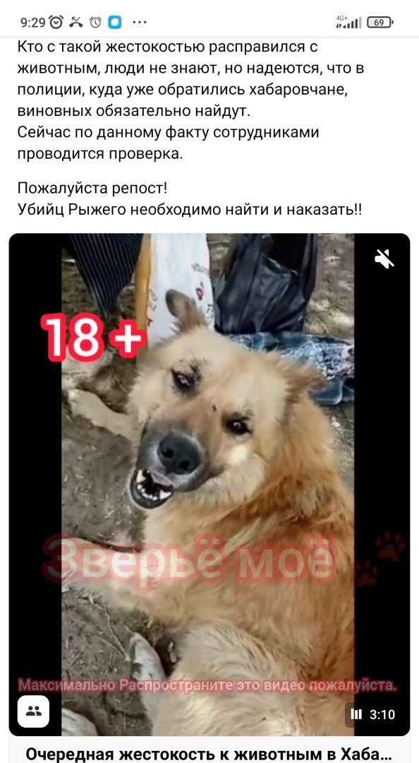 Трагедия в Хабаровске видео: 18+