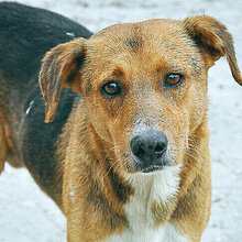 Максим, г. Салават