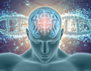 Почему память важна?