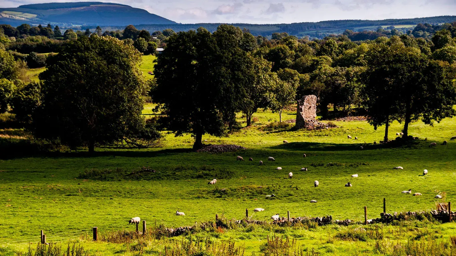 Дед Мороз похоронен в Ирландии?