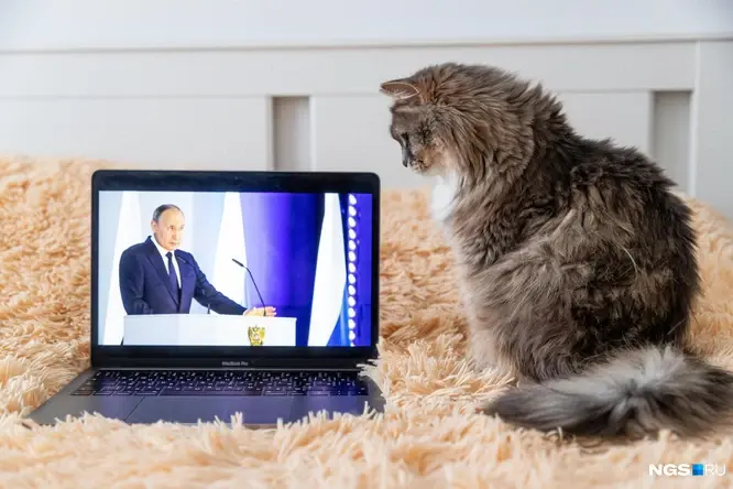 Пересказываем коротко речь президента