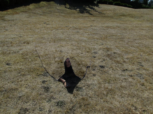 Квантовый стелс - возможна ли невидимость?