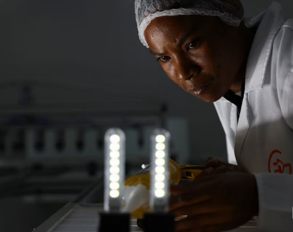 Города Южной Африки пытаются сохранить свет