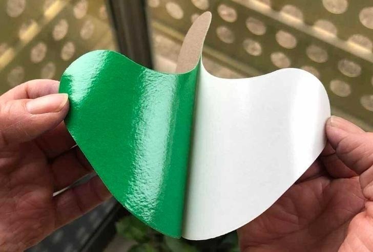 Как этот пластырь на колено устраняет мою постоянную, пульсирующую боль в колене, крадя мою независимость, свободу и уверенность в себе - НАВСЕГДА!